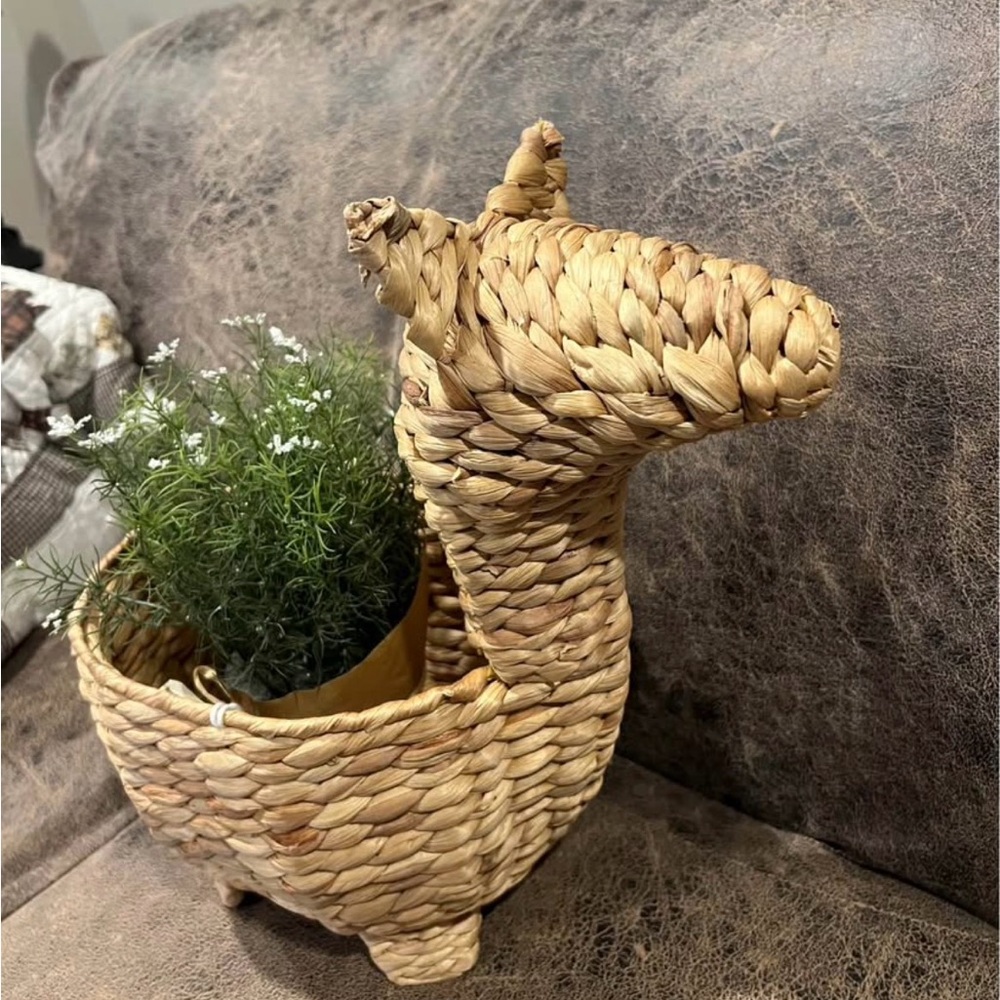 Woven Llama Planter - Natural Brown - Picture 2 of 5